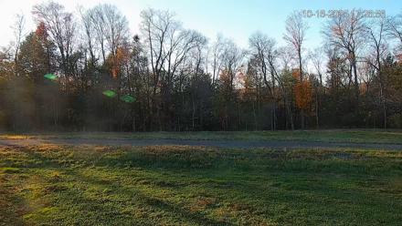 Pennsylvania Elk Live Webcam - Oct 16, 2025, 5:27pm EDT