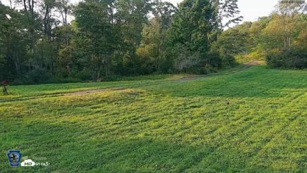 Pennsylvania Elk Live Webcam - Aug 9, 2026, 6:46pm EDT