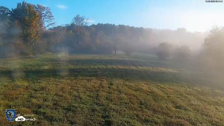 Pennsylvania Elk Live Webcam - Oct 3, 2026, 8:15am EDT