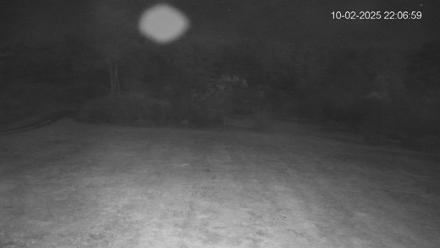 Pennsylvania Elk Live Webcam - Oct 2, 2025, 10:07pm EDT