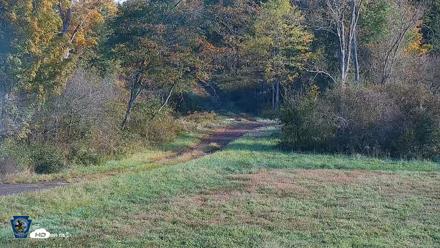 Pennsylvania Elk Live Webcam - Oct 3, 2026, 8:54am EDT