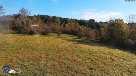 Pennsylvania Elk Live Webcam - Oct 3, 2026, 9:12am EDT