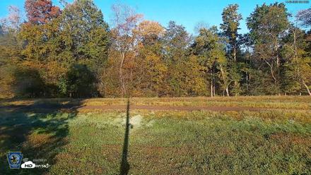 Pennsylvania Elk Live Webcam - Oct 3, 2026, 8:20am EDT