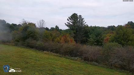 Pennsylvania Elk Live Webcam - Sep 29, 2026, 6:31pm EDT
