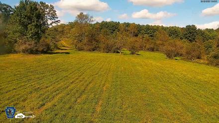 Pennsylvania Elk Live Webcam - Sep 5, 2026, 3:45pm EDT