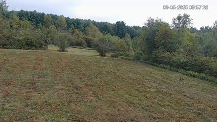 Pennsylvania Elk Live Webcam - Sep 5, 2025, 9:58am EDT
