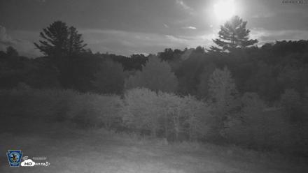 Pennsylvania Elk Live Webcam - Aug 27, 2026, 9:21pm EDT