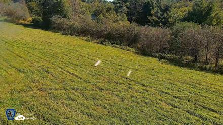 Pennsylvania Elk Live Webcam - Sep 8, 2026, 11:45am EDT