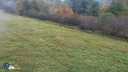 Pennsylvania Elk Live Webcam - Oct 1, 2026, 7:22am EDT