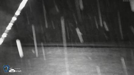 Pennsylvania Elk Live Webcam - Sep 28, 2026, 9:30pm EDT