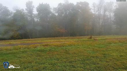 Pennsylvania Elk Live Webcam - Sep 30, 2026, 7:37am EDT