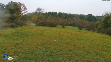 Pennsylvania Elk Live Webcam - Oct 1, 2026, 9:21am EDT