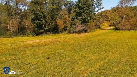 Pennsylvania Elk Live Webcam - Sep 7, 2026, 1:07pm EDT