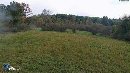 Pennsylvania Elk Live Webcam - Sep 30, 2026, 10:31am EDT