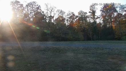 Pennsylvania Elk Live Webcam - Sep 19, 2025, 6:26pm EDT