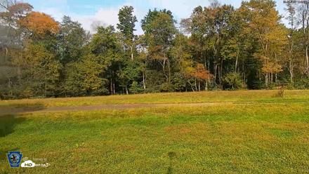 Pennsylvania Elk Live Webcam - Sep 30, 2026, 10:49am EDT