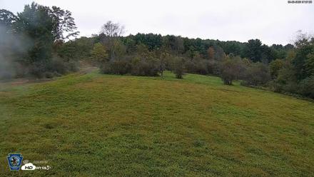 Pennsylvania Elk Live Webcam - Sep 28, 2026, 7:07am EDT
