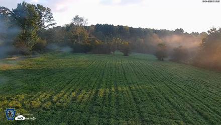 Pennsylvania Elk Live Webcam - Sep 4, 2026, 7:16am EDT