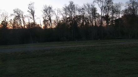 Pennsylvania Elk Live Webcam - Oct 1, 2025, 7:19pm EDT