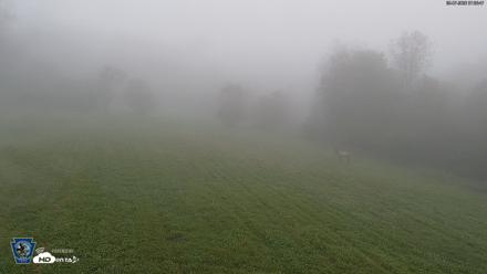 Pennsylvania Elk Live Webcam - Sep 7, 2026, 7:07am EDT
