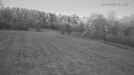 Pennsylvania Elk Live Webcam - Oct 4, 2025, 7:15pm EDT