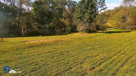 Pennsylvania Elk Live Webcam - Sep 8, 2026, 4:40pm EDT