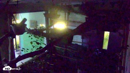 Reid Park Zoo Sloth Live Webcam - Sep 12, 2026, 7:40pm MST
