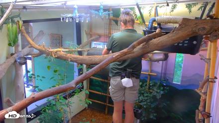 Reid Park Zoo Sloth Live Webcam - Sep 8, 2026, 7:21am MST