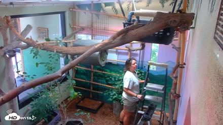 Reid Park Zoo Sloth Live Webcam - Aug 17, 2026, 1:56pm MST