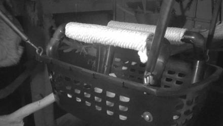 Reid Park Zoo Sloth Live Webcam - Oct 28, 2025, 7:01pm MST