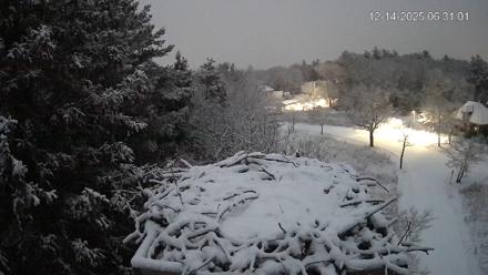 Mashpee Natl. Wildlife Refuge Live Osprey Cam - Dec 14, 2025, 6:32am EST