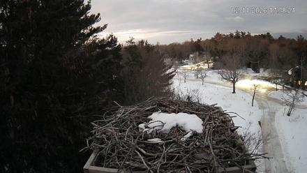 Mashpee Natl. Wildlife Refuge Live Osprey Cam - Feb 11, 2026, 5:39pm EST