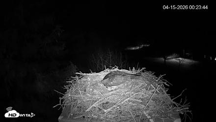 Mashpee Natl. Wildlife Refuge Live Osprey Cam - Apr 15, 2026, 12:24am EDT