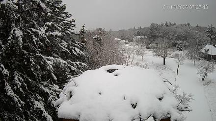 Mashpee Natl. Wildlife Refuge Live Osprey Cam - Jan 19, 2026, 7:08am EST