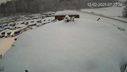 Pleasant Hill Lake Ospreys Live Nest Webcam - Dec 2, 2025, 7:24am EST