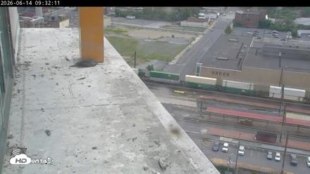 PA Peregrine Falcon Cam Live Webcam - Jun 14, 2026, 9:45am EDT