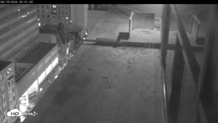 PA Peregrine Falcon Cam Live Webcam - Aug 18, 2026, 4:35am EDT