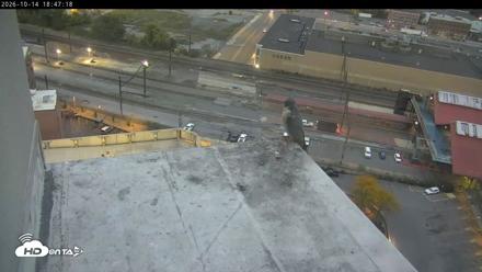 PA Peregrine Falcon Cam Live Webcam - Oct 14, 2026, 6:42pm EDT