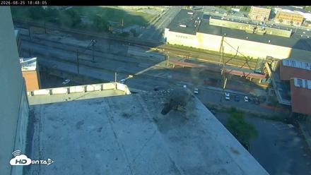 PA Peregrine Falcon Cam Live Webcam - Aug 25, 2026, 6:38pm EDT