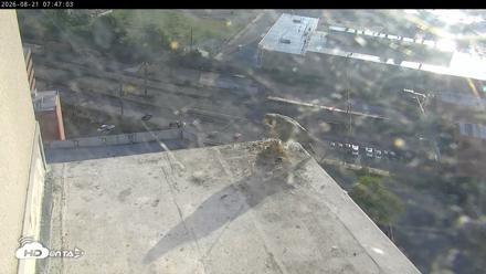 PA Peregrine Falcon Cam Live Webcam - Aug 21, 2026, 7:37am EDT