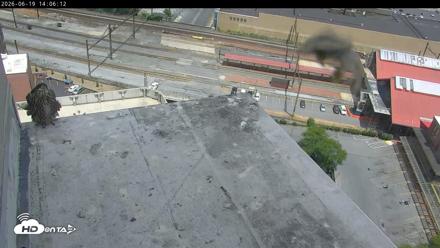 PA Peregrine Falcon Cam Live Webcam - Jun 19, 2026, 1:57pm EDT