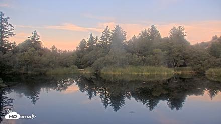Midpeninsula Regional Open Space Live Webcam - Aug 20, 2026, 6:30am PDT