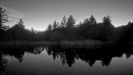 Midpeninsula Regional Open Space Live Webcam - Dec 14, 2025, 5:41pm PST