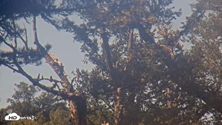 Midpeninsula Regional Open Space Live Webcam - Sep 22, 2026, 2:00pm PDT