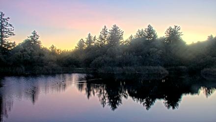 Midpeninsula Regional Open Space Live Webcam - Nov 8, 2025, 5:20pm PST