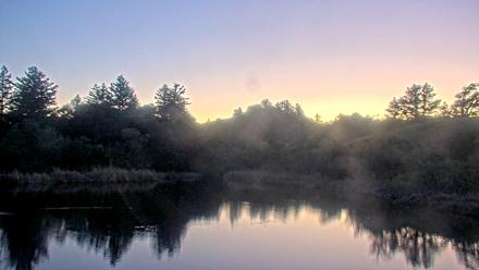 Midpeninsula Regional Open Space Live Webcam - Apr 2, 2026, 7:54pm PDT