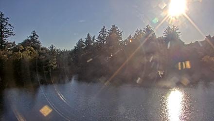 Midpeninsula Regional Open Space Live Webcam - Oct 10, 2025, 5:19pm PDT