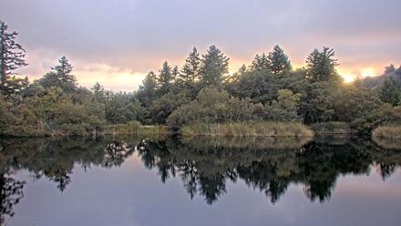 Midpeninsula Regional Open Space Live Webcam - Oct 15, 2025, 6:01pm PDT