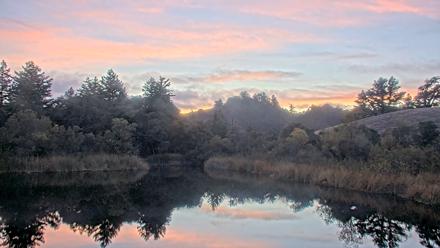 Midpeninsula Regional Open Space Live Webcam - Oct 22, 2025, 6:30pm PDT