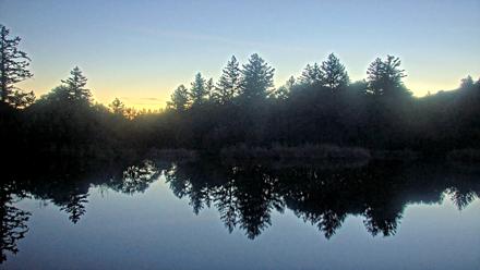 Midpeninsula Regional Open Space Live Webcam - Jan 24, 2026, 5:58pm PST